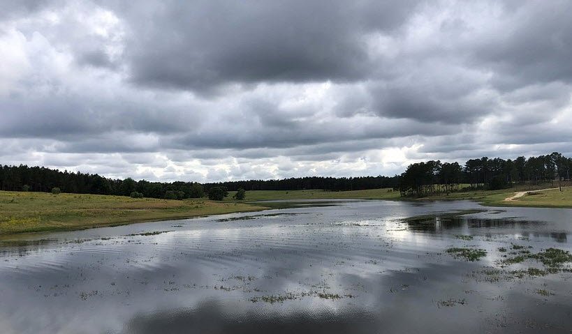 H Cooper Black Jr. Memorial Field Trial & Recreation Area, South Carolina, USA
